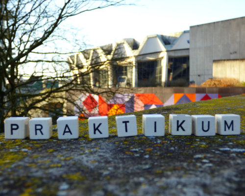 Praktikum _nur Praktikum_